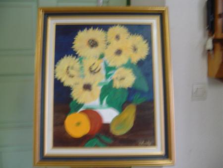                                     Les tounesols